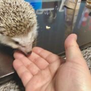 親バカになりました！