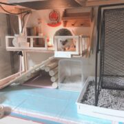 明けましておめでとうございます！