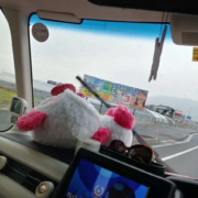 いつでも満開の笑顔～～～～～(^^♪
