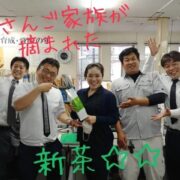 新茶～～～(o^^o)☆☆