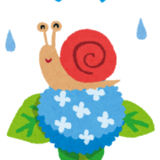 梅雨入りですね。