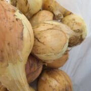 ３人とも大好きなんです(*´ω｀*)♡♡