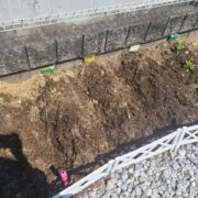 とっても良い天気～～～ヽ(*´∀｀)ノ