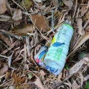 リアルライフヒーローの務め