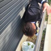 今日は朝から草引き