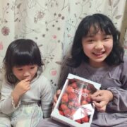 今年こそは行きたい！！！！